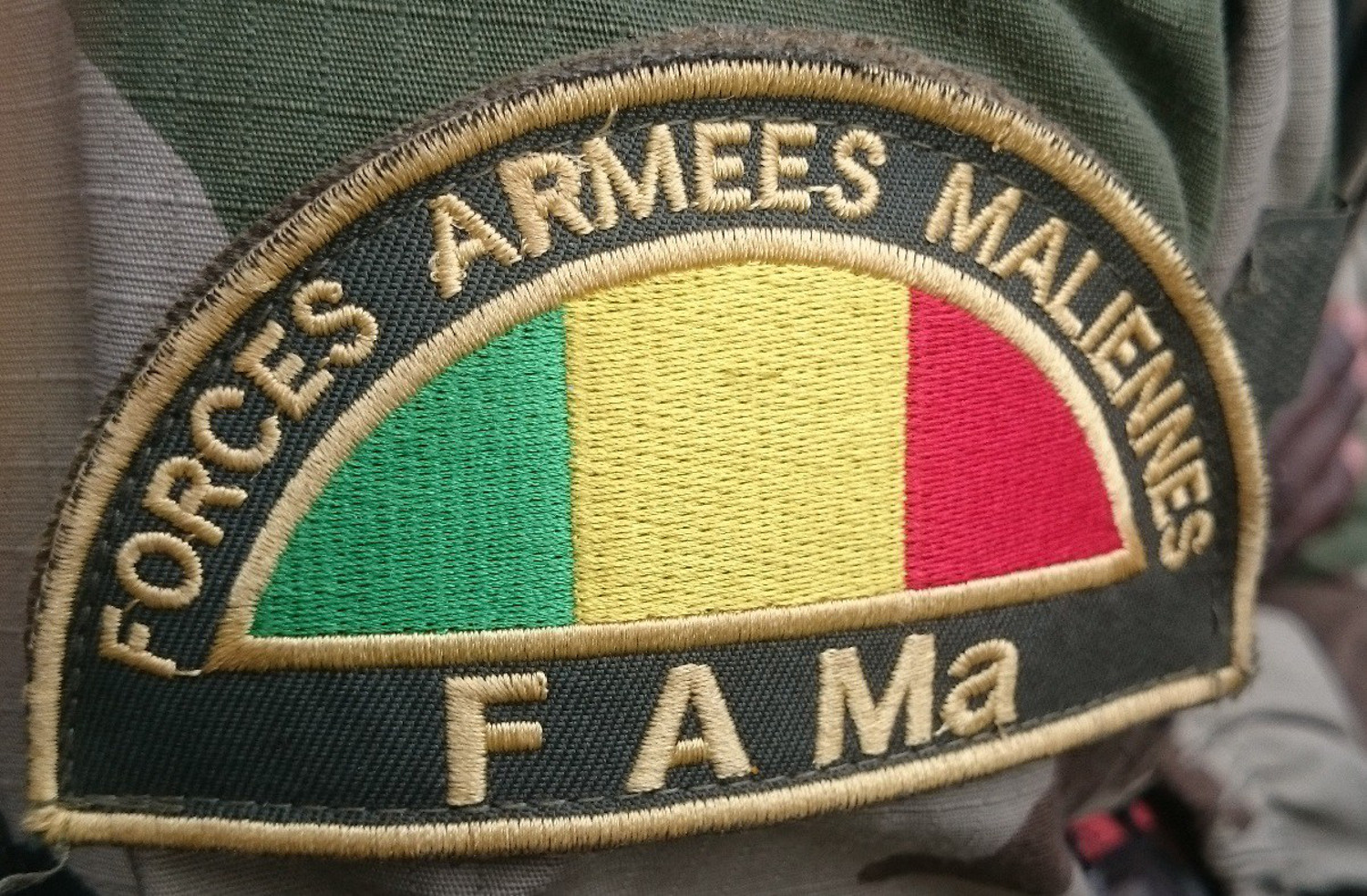 FAMa Mali Forces 11 4 19 – DIPLOMATIC TIMES